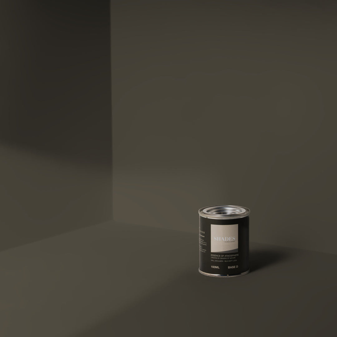 Ash Wandfarbe 100 ml-Tester